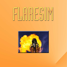 Schlumberger Flaresim